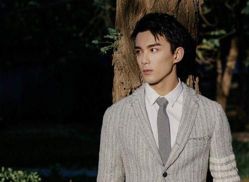 吴磊最新消息爆料,揭秘当红小生的幕后故事与成长轨迹  第3张