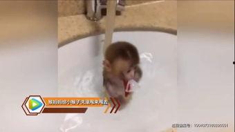 小姑娘洗澡在线观看,揭秘小姑娘洗澡在线观看的神秘面纱  第2张