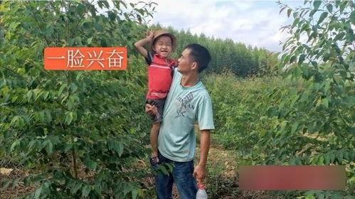 农村大树哥邻居爆料视频,揭秘农村大树哥神秘生活片段  第2张